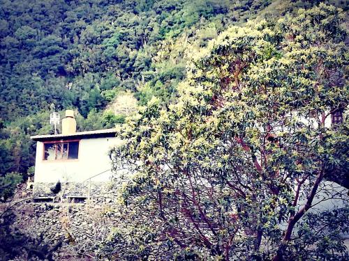 Casa La Montaña - main image
