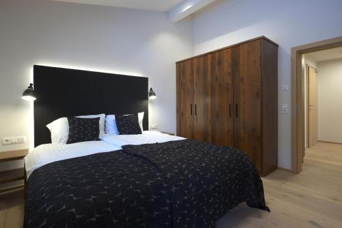 Alpin Penthouse Hollersbach - image 2