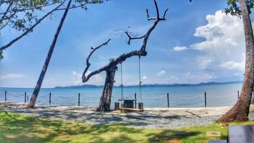 Somphoch Garden thumbnail 5