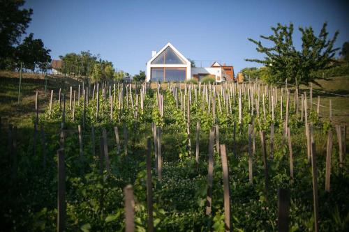  Ég & Föld Borvendégház in Szekszárd