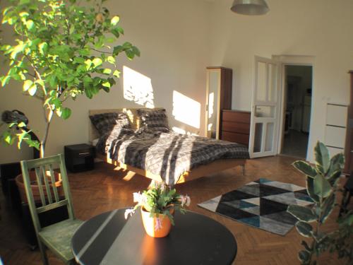  Market View Citrus in Budapest