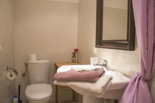 L'Amuse du Paradis - image 12