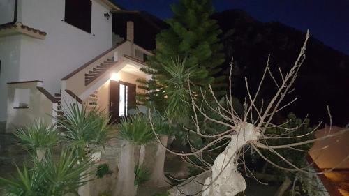 Punta Speranza, Nebida (fotografie 6)