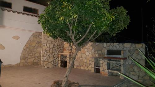 Punta Speranza, Nebida (fotografie 5)
