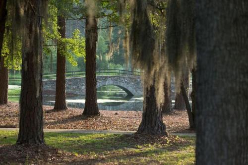 Little Ocmulgee State Park and Lodge - main image