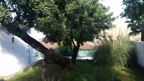 Villa Manzanilla Malaga - main image