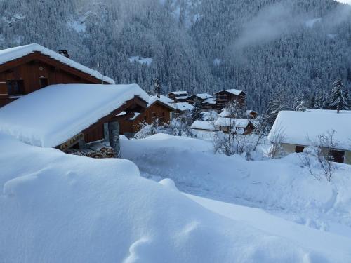 Chalet Jonquille - image 9