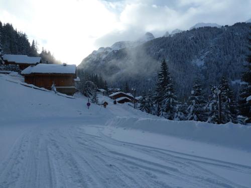 Chalet Jonquille - image 6