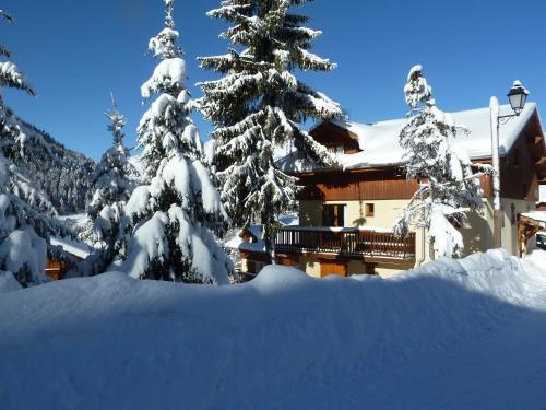 Chalet Jonquille - image 12