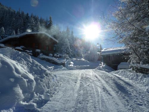 Chalet Jonquille - image 8