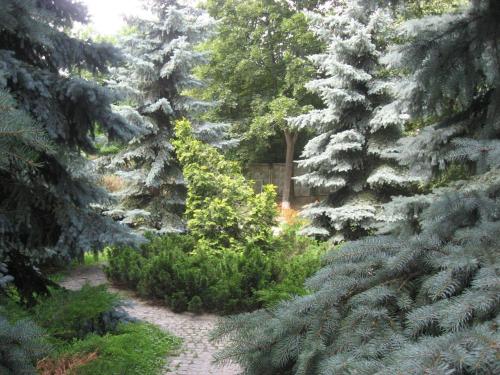 Great view apartaments near Lavra