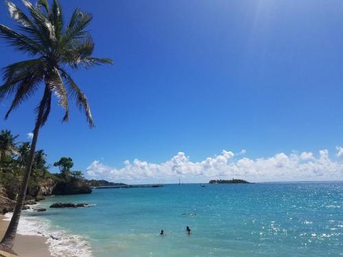 Studio pieds dans l'eau - Location saisonnière - Le Gosier