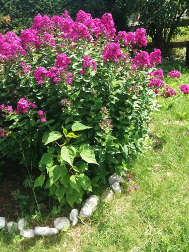 尊特尔旅馆 尊特尔旅馆