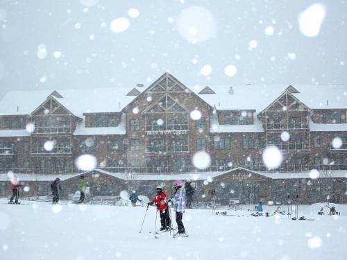 Special Offer Ski - One Bedroom Suite