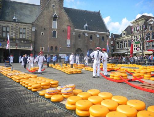 Koningshof XL