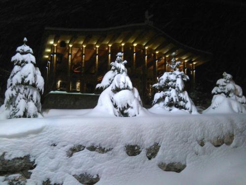 Chalet Escapade - image 8