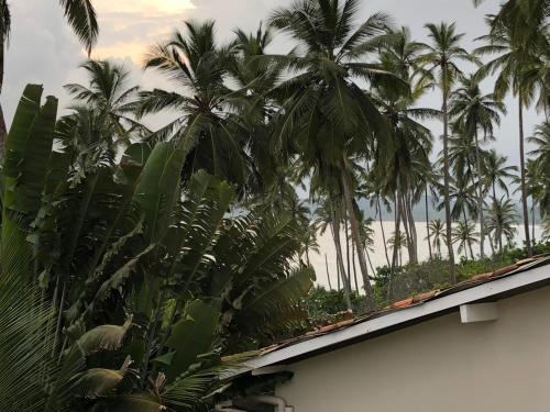 Double Room with Balcony image 1