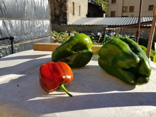  Casa Joan in Barruera