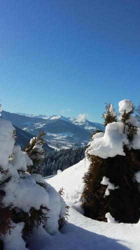 Reiterbauer Chalets & Ferienwohnungen