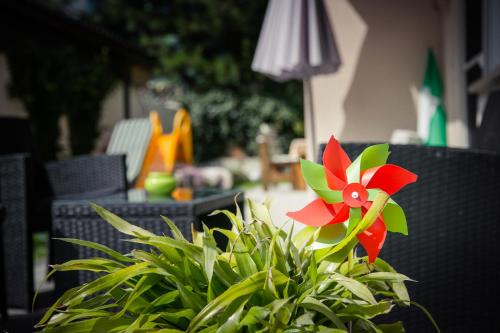 Appartement Kuen - main image