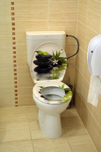 Örömvölgy Vendégház - image 10