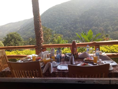 Alimentos e Bebidas, Bwindi Forest Lodge in Kanungu