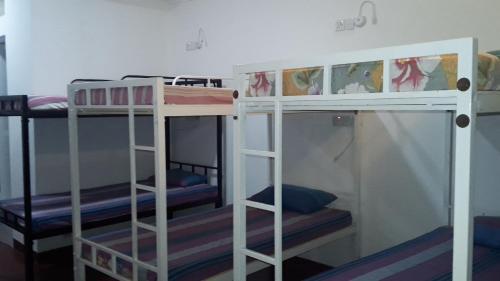 Shared room, mixed dormitory, 8 guests