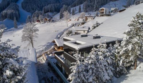 Sunny Ferienwohnungen Ski In - Ski Out - Apartment - Zell am See