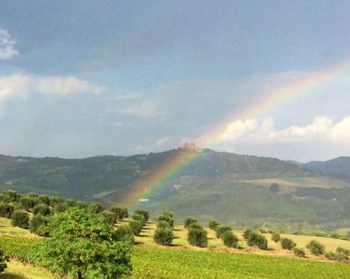 Agriturismo Podere del Vescovo