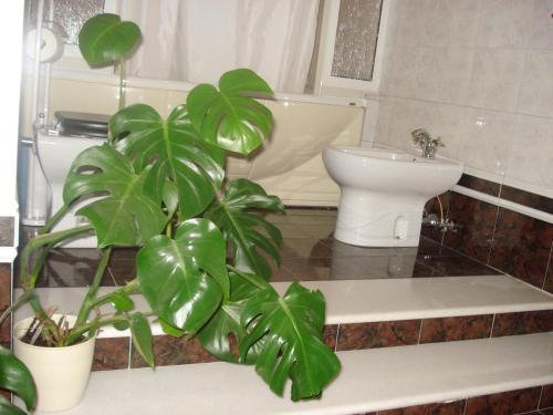 La Mia Casa per Tutti - image 6
