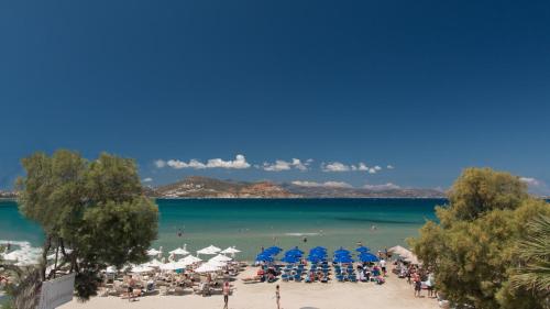 Beach, Ippokampos Beachfront in Naxos Island