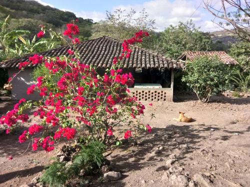 B&B Los Potrerillos - La Ceibita Tours - Bed and Breakfast Los Potrerillos