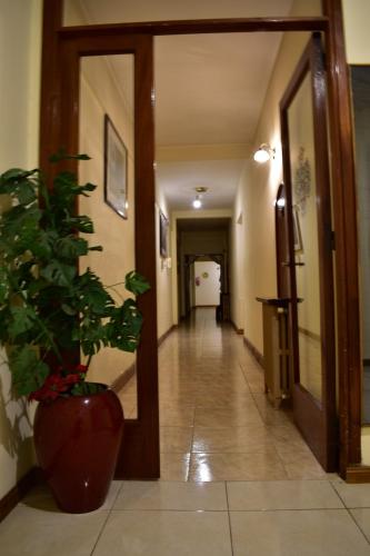 Gran Hotel Augusto