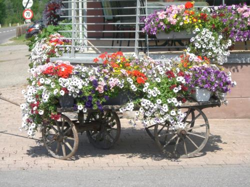 Das Schiff in den Bergen - image 10