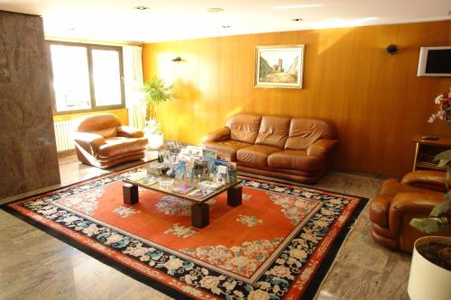 Hol, Hotel Roc Del Castell in Canillo