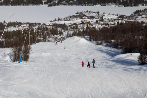Gomobu Fjellstue - image 37