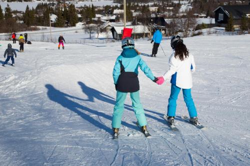 Gomobu Fjellstue - image 42