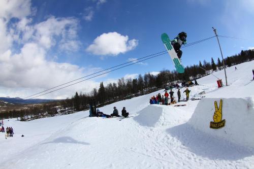 Gomobu Fjellstue - image 8