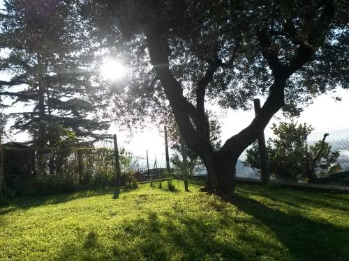 Skats, A1 Girasole B&B in Castelnuovo Di Porto