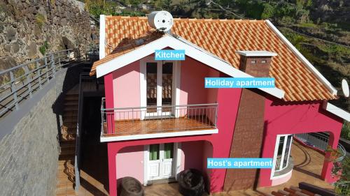 Pink House
