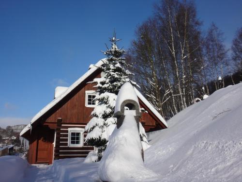 Apartmán Na Zlatníku - Apartment - Zlatá Olešnice