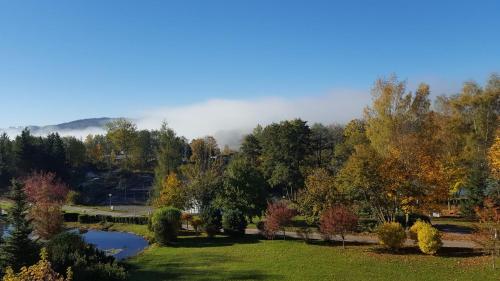 Θέα, Apartmány Wellness Holiday Frymburk (Apartmany Wellness Holiday Frymburk) in Frymburk