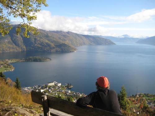 Dragsvik Fjordhotel - image 6
