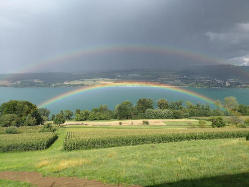 Lake View Apartments Beinwil am See (30 km to Lucerne) in Beinwil Am See