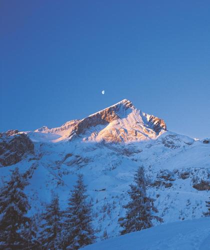 Bližnja okolica, Ferienwohnungen Zugspitze in Grainau City Center