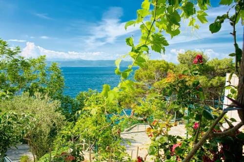 景觀, Apartments and rooms by the sea Zivogosce - Porat, Makarska - 2733 in 捷科高斯切