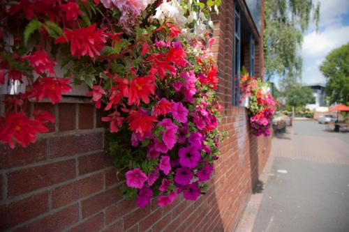The Alexander Pope Hotel - image 11
