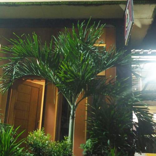 Penginapan & Guest House Mbok Dhe Borobudur