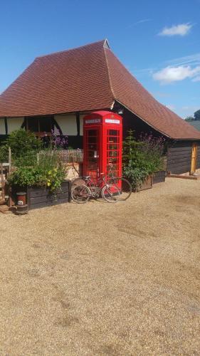 Darling Buds Farm - Edith图片