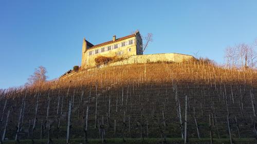 Hotel & Restaurant Schloss Schwandegg